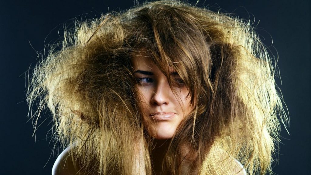 Reasons for detangled matted hair | Work-Shop-PDX